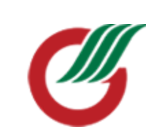 广东省广晟资产经营有限公司-logo