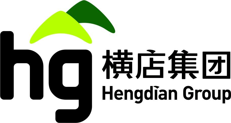 横店集团控股有限公司-logo