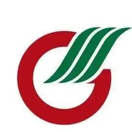 广东省广晟控股集团有限公司-logo