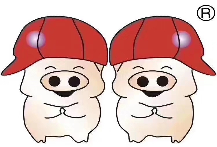 双胞胎(集团)股份有限公司-logo