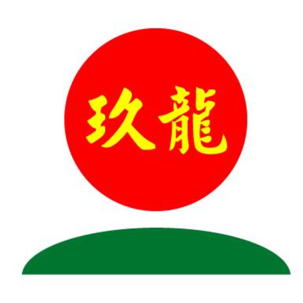 玖龙纸业（控股）有限公司-logo