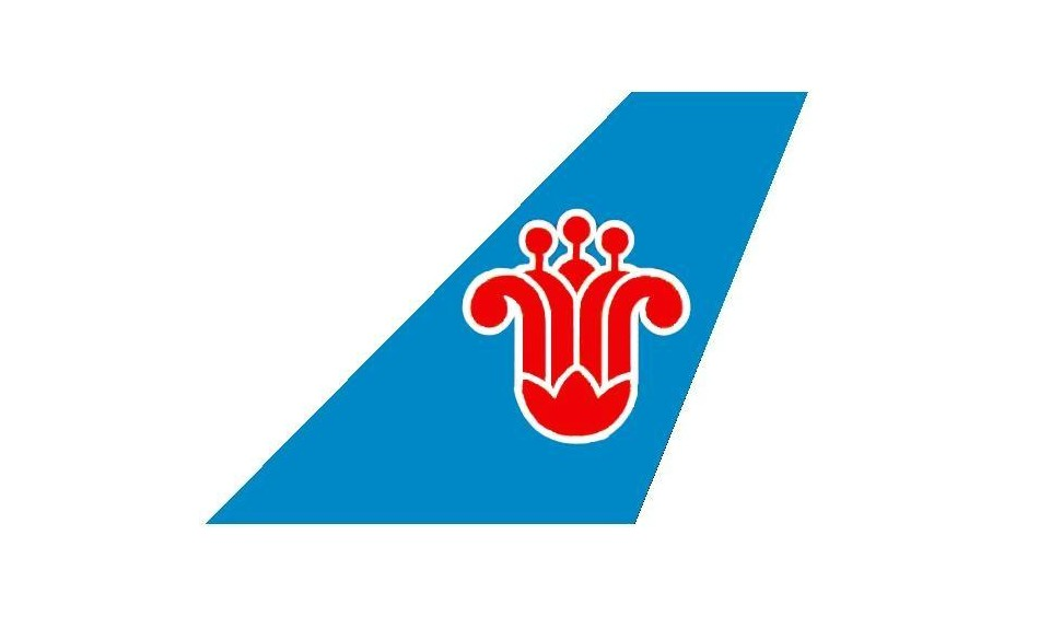 中国南方航空股份有限公司-logo