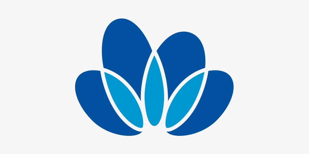 中国中化控股有限责任公司-logo