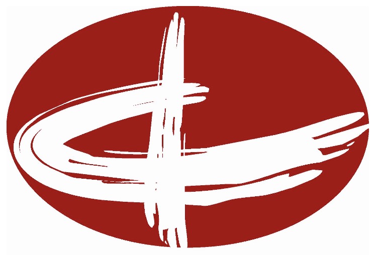 华中药业股份有限公司-logo
